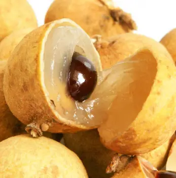Longani de la Réunion, fruit sucré tropical de l'île