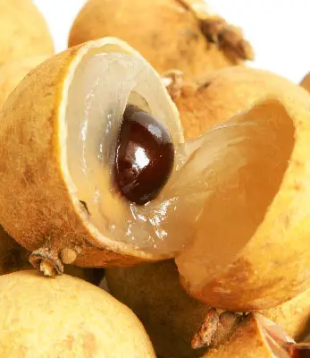 Longani de la Réunion, fruit sucré tropical de l'île