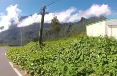 Paysages Réunion time lapse