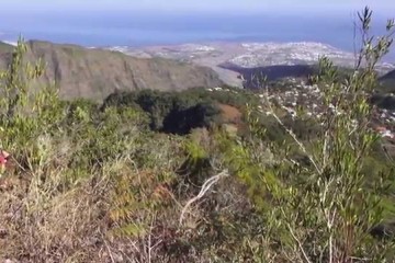 Les Rendez-vous du Parc National de la Réunion 974