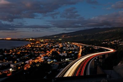 La Route des Tamarins et ses arbres endémiques