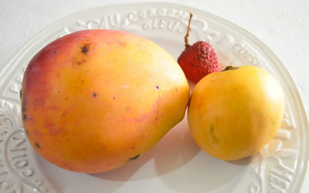 Mangue heidi parmi les mangues de la Réunion