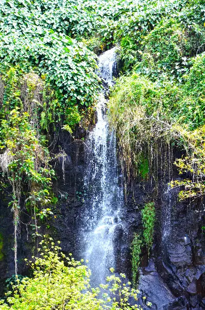 Anse des Cascades à Ste Rose est une aire de pique nique