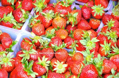 Recette de fraise au sucre de canne