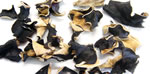recettes chinoises : champignons noirs