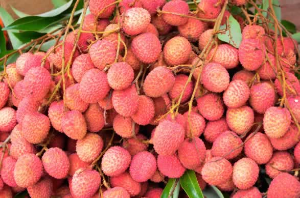 Les litchis en colis cadeau Réunion