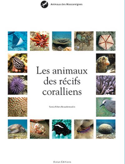 Récifs coralliens – Iles des Mascareignes