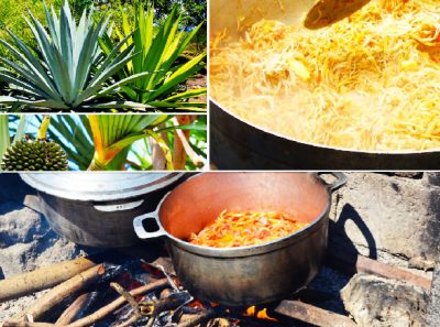 Choca et Vacoa Réunion : Terroir et Gastronomie en Fête