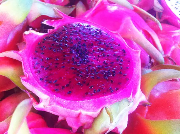 fruit reunion-recette dessert-pitaya rouge