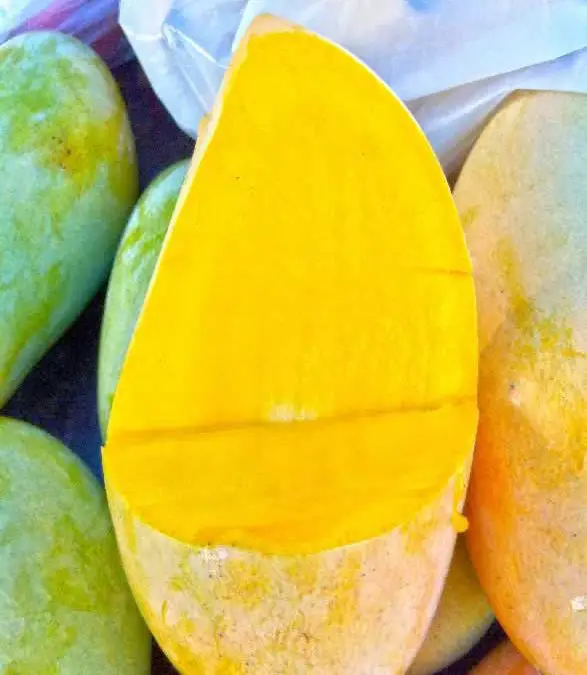 Mangue thaïlandaise