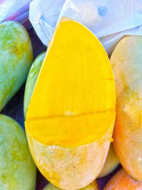Mangue thaïlandaise cultivée à l’Ile de la Réunion