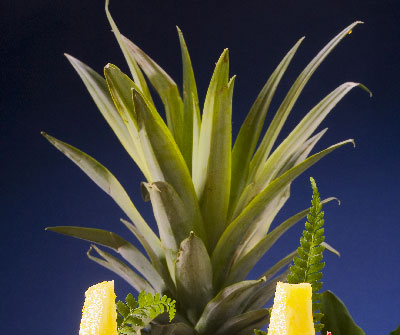 recette dessert - ananas victoria reunion