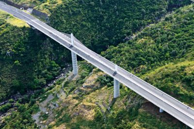 Les espèces endémiques de la Réunion