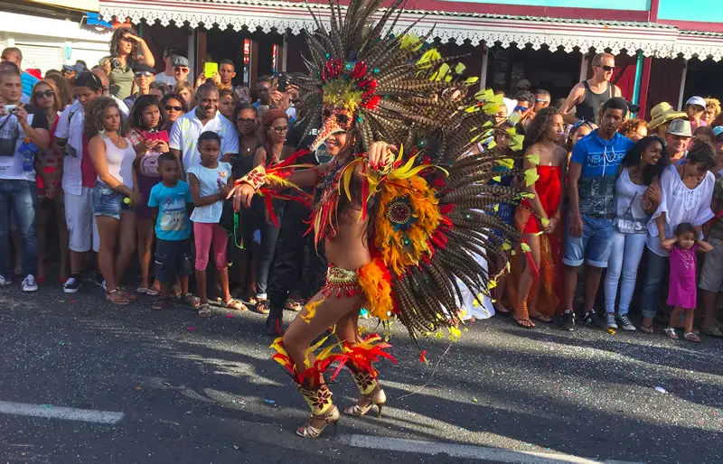 Sambaloya : photo Grand Boucan de la Réunion en 2015