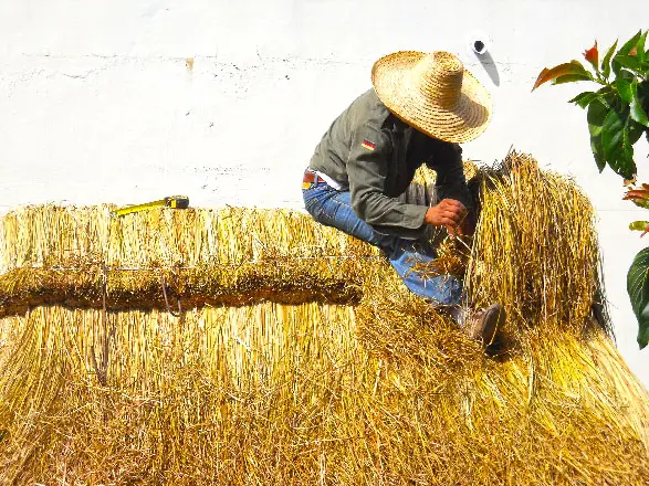 Tissage du vétiver pour les toitures en chaume de la Réunion